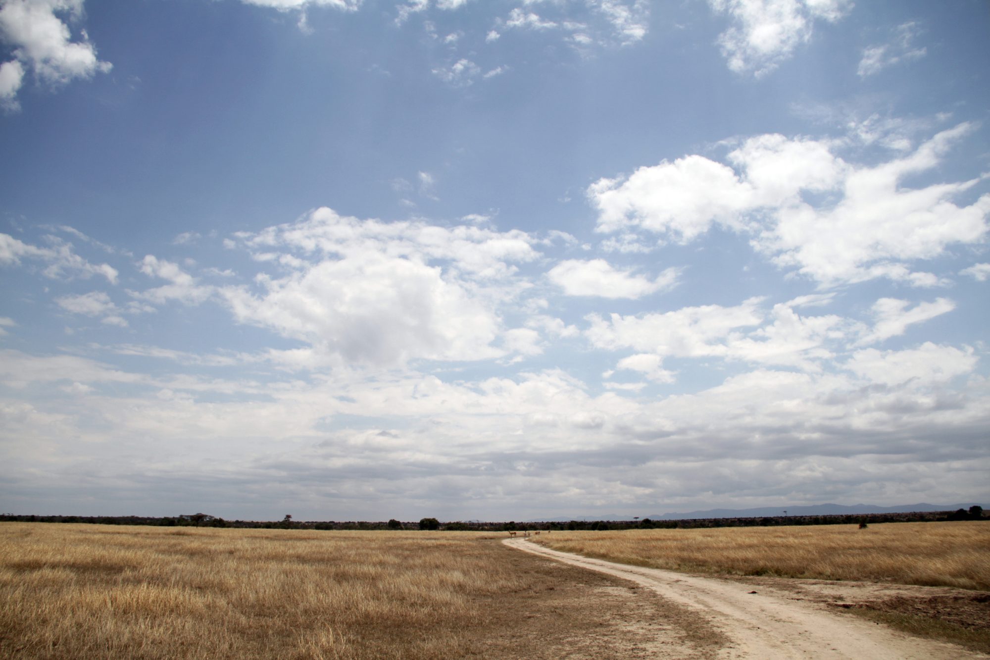 Ol Pejeta Conservancy