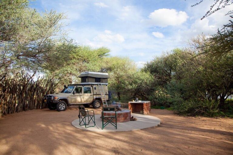 Omatozu Safaris
