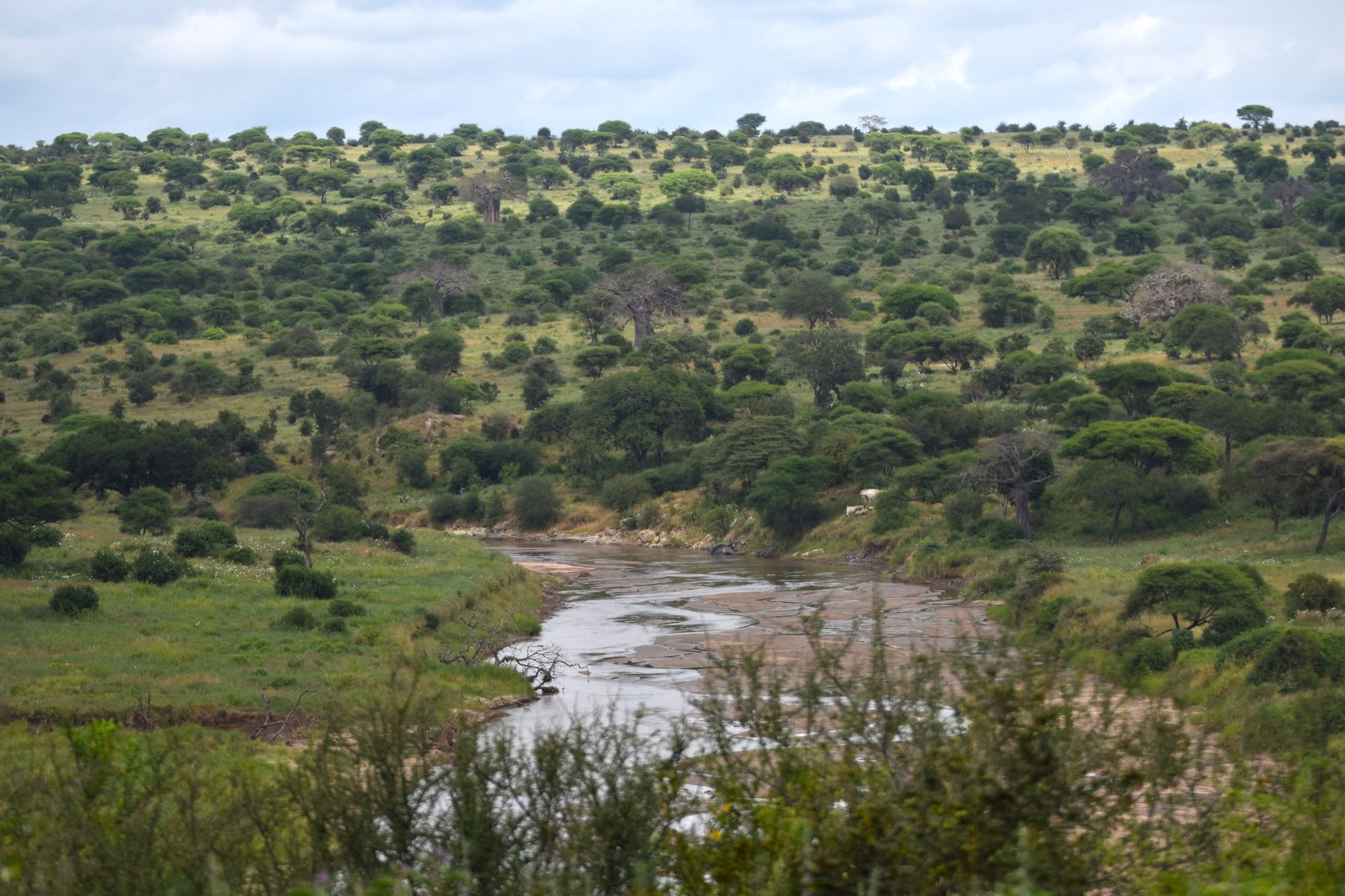 Tarangire National Park