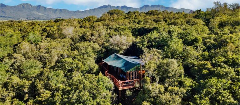 Teniqua Treetops