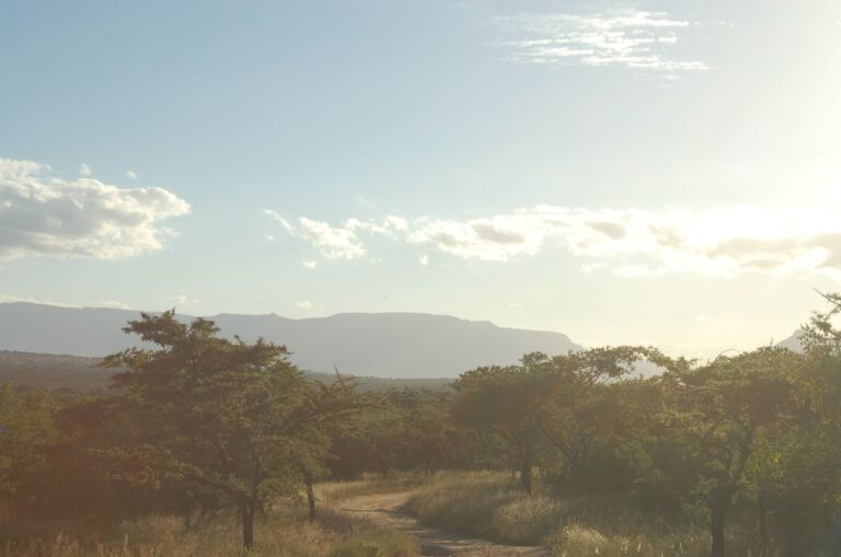Thornybush Game Reserve